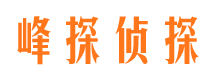 保亭市私家侦探